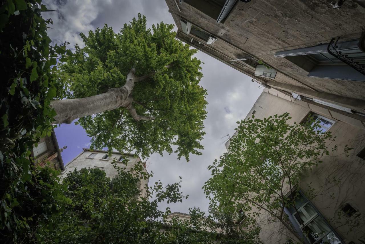 شقة Les Jardins De L'Ecusson - Premiere Conciergerie مونبيلييه المظهر الخارجي الصورة