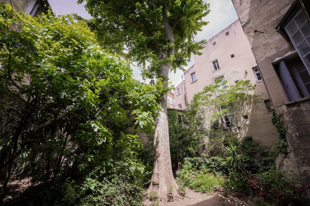 شقة Les Jardins De L'Ecusson - Premiere Conciergerie مونبيلييه المظهر الخارجي الصورة